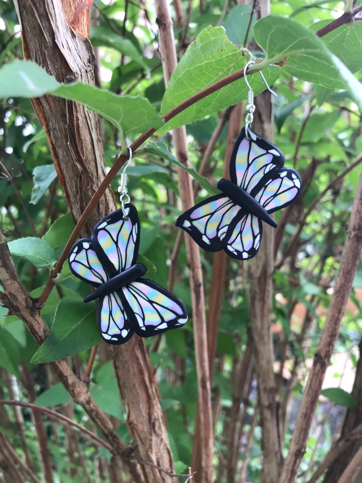 butterflies