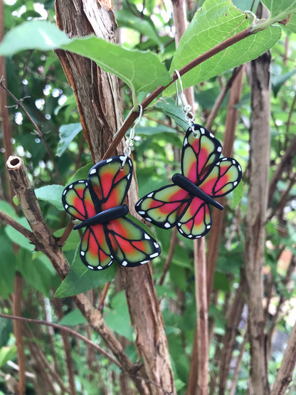 butterflies